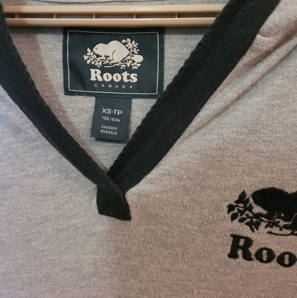 Roots Gray hoodie - Picture 4 of 5